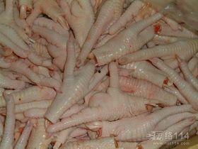 鸡爪养殖爆料视频播放,视频爆料带你走进神秘养殖世界